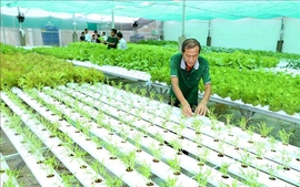 'Hàng rào xanh' của EU: Cần sự thay đổi tư duy của doanh nghiệp