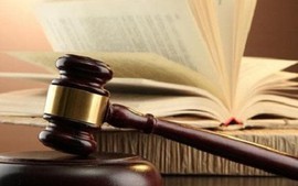 Phân công soạn thảo 9 dự án luật