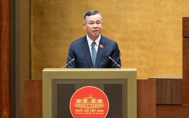 Đề xuất không quy định cứng ngưỡng doanh thu chịu thuế với hộ, cá nhân kinh doanh để tăng tính linh hoạt