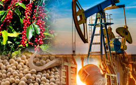 THỊ TRƯỜNG HÀNG HÓA: Sắc xanh lan tỏa, MXV-Index vượt ngưỡng 2.800 điểm