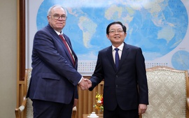 Phó Thủ tướng Hồ Quốc Dũng tiếp lãnh đạo Cơ quan Năng lượng nguyên tử Quốc tế (IAEA)