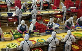 "Trụ đỡ" nông nghiệp trước áp lực giá: Cần chuyển mạnh từ sản lượng sang giá trị