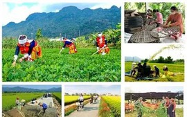 Chương trình mục tiêu quốc gia giai đoạn mới: Hoàn thiện thể chế, tập trung nguồn lực cho cơ sở