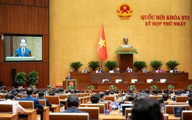 Thí điểm chế định luật sư công tại 8 bộ và 10 địa phương  trong 2 năm