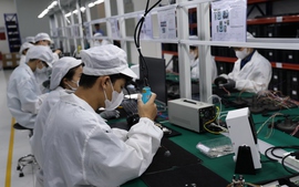 Ngày Sở hữu trí tuệ thế giới 26/4: Khơi thông nguồn lực cho tăng trưởng trong kỷ nguyên số