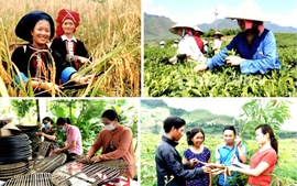 Chỉ đạo, điều hành của Chính phủ, Thủ tướng Chính phủ ngày 24/4/2026 (2)