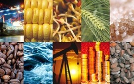 MXV Index duy trì trên mốc 2.800 điểm phiên thứ 6 liên tiếp