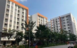 Kiện toàn Ban Chỉ đạo chính sách nhà ở và thị trường bất động sản cấp tỉnh trong quý II/2026