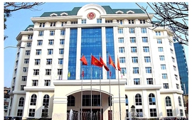 Cục Thuế: Cần triển khai ngay quy định nâng miễn thuế quy mô lớn từ năm 2026