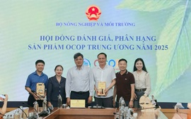 Quỹ Hỗ trợ phát triển Hợp tác xã: "Đòn bẩy" tài chính giúp kinh tế tập thể bứt phá