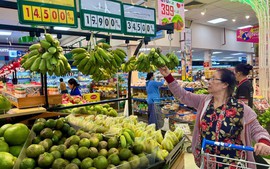 Chỉ đạo, điều hành của Chính phủ, Thủ tướng Chính phủ nổi bật tuần từ 28/3-3/4/2026