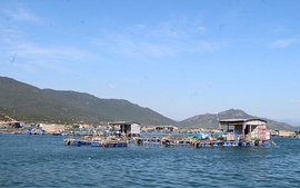 15 lĩnh vực nông nghiệp, môi trường được cắt giảm, phân cấp, đơn giản hóa TTHC, điều kiện kinh doanh