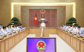 Thủ tướng làm việc với Bộ Nông nghiệp và Môi trường