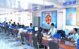 Khẩn trương triển khai các Nghị quyết cắt giảm, đơn giản hóa thủ tục hành chính, điều kiện kinh doanh