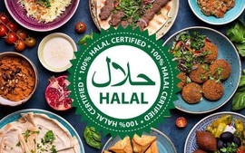 Khuyến khích, hỗ trợ các tổ chức, cá nhân đầu tư, sản xuất, kinh doanh sản phẩm, dịch vụ Halal