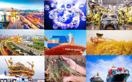 Phê duyệt Chương trình vươn ra thị trường quốc tế giai đoạn 2026 - 2030