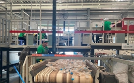 Đối tượng phải thực hiện trách nhiệm tái chế sản phẩm, bao bì