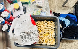 Hải quan phát hiện 8.879 vụ buôn lậu, trị giá hơn 8.000 tỷ đồng