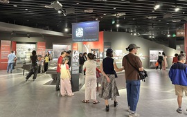 Hơn 6,7 triệu lượt khách quốc tế đến Việt Nam trong 3 tháng năm 2026