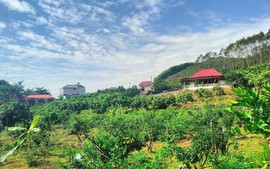 Loại đất và hạn mức công nhận đất ở sau sáp nhập