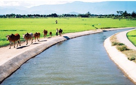 Hỗ trợ tiền sử dụng sản phẩm, dịch vụ công ích thủy lợi