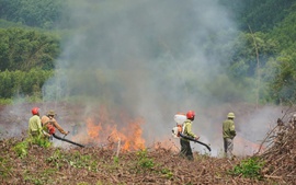 Nắng nóng gay gắt, miền Trung cấp bách phòng cháy, chữa cháy rừng
