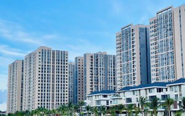 Nuôi con khuyết tật, thu nhập thấp có được hỗ trợ nhà ở xã hội?