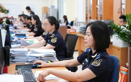 Hải quan thử nghiệm mô hình ‘một đầu mối’ xử lý thủ tục xuất nhập khẩu