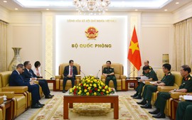 Phó Thủ tướng Chính phủ, Bộ trưởng Bộ Quốc phòng Phan Văn Giang tiếp Đại sứ Thụy Điển và Đại sứ Algeria