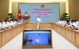Thủ tướng chủ trì Phiên họp Ban Chỉ đạo về phát triển khoa học công nghệ, đổi mới sáng tạo, chuyển đổi số và Đề án 06