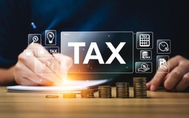 Chủ hộ kinh doanh góp vốn, DN thành lập có được miễn thuế?