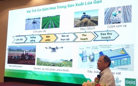 Chuyển đổi số mở đường cho cơ giới hóa thông minh ngành lúa gạo ĐBSCL