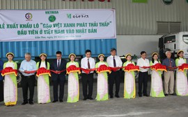 Gắn 'hộ chiếu xanh' cho thương hiệu gạo Việt phát thải thấp