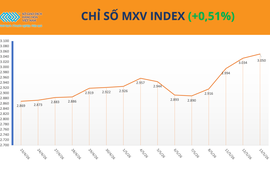 Thị trường phân hóa, MXV-Index duy trì trên mốc 3.050 điểm