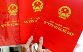 Thẩm quyền cấp Giấy chứng nhận quyền sử dụng đất lần đầu