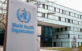 Virus Hanta: Những tuyên bố mới từ WHO và ứng phó của các nước