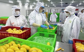Khoa học, công nghệ là 'chìa khóa' chuyển đổi mô hình tăng trưởng nông nghiệp