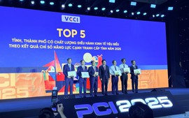 Lần đầu tiên công bố Chỉ số Hiệu quả Kinh tế tư nhân: TPHCM dẫn đầu