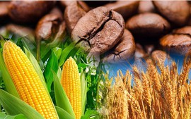 THỊ TRƯỜNG HÀNG HÓA: Tín hiệu từ quan hệ Mỹ - Trung cải thiện tâm lý thị trường