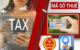 Ngành thuế mở chiến dịch 'Làm sạch mã số thuế - Tháo gỡ điểm nghẽn kinh doanh'