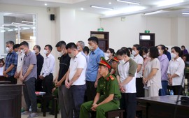 Xét xử phúc thẩm hai cựu Cục trưởng Cục An toàn thực phẩm và đồng phạm