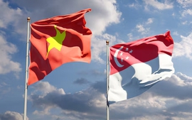 Việt Nam-Singapore: Hình mẫu hợp tác thành công trong ASEAN