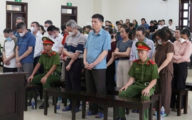 Giảm án cho nhiều bị cáo trong vụ án nhận hối lộ tại Cục An toàn thực phẩm, Bộ Y tế