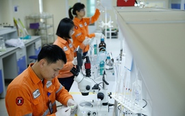 Masan High-Tech Materials vào Top 10 nơi làm việc tốt nhất Việt Nam
