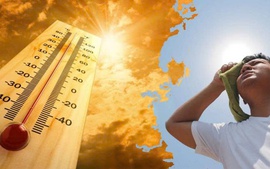 Nhiều ca suy thận cấp nguy hiểm do làm việc lâu dưới trời nắng nóng, thiếu nước