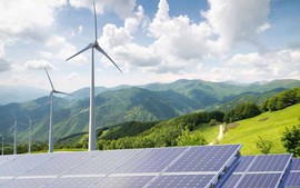 Thực thi ESG – ‘thẻ thông hành’ vào thị trường quốc tế