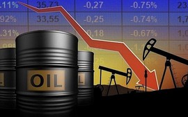 Kỳ vọng hòa đàm Mỹ - Iran kéo giá dầu lao dốc