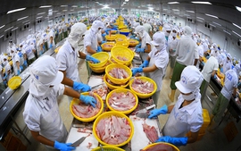 Sẽ sửa 2 thông tư để gỡ vướng xuất khẩu thủy sản