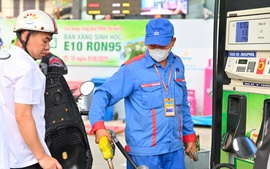 Xăng E10: Tương thích với nhiều hãng xe lớn, người dùng không nên quá lo ngại