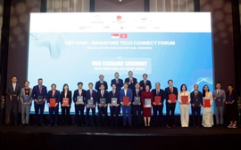 Vinachem thiết lập hợp tác chiến lược với DSM-FIRMENICH